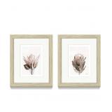 Framed Floral Wall Art Sets  Pink Protea Flower