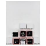 New Pandora (lot Of 6) charms.