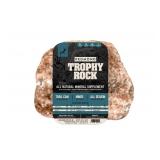 10 Lb Trophy Rock for Hunting, New Slightly