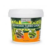 Boxwood Turbo Grow - Professional Boxwood