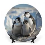 Penguin Parents And Chicks Antarctica Large