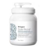 New Briogeo Scalp Revival Charcoal + Coconut Oil