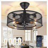 DLLT Caged Ceiling Fan with Light: 20" Farmhouse