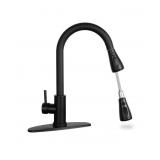Matte Black Kitchen Sink Faucet with Pull Down