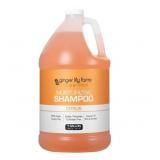 New Ginger Lily Farms Club & Fitness Moisturizing