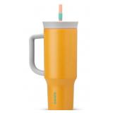 Owala Stainless Steel Triple Layer Insulated
