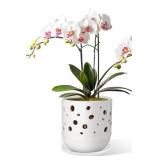 Orchid Pot with Holes, 5 Inch Ceramic Orchid Pot,