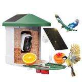 Bird Feeder with Camera with AI Identify Birds