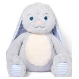 New Heavy Hugs: Weighted Teddy Bear for Kids,