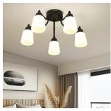 New kudos 5-Light Black Ceiling Light Fixture,