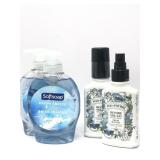 2 pack softsoap fresh breeze scent wash