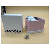 Pandora charm