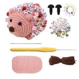 New Beginner crochet set, children's crochet kit