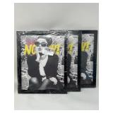 New Lot of 3, Beautiful Chic Woman Wall Art