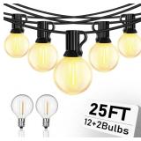 Abeja 25Ft LED Outdoor String Light, G40 Globe LED