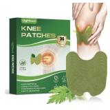 New 36 Pcs Knee Patches,Wormwood Extract Sticker