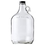 Glass Water Bottle Includes 38 mm Polyseal Cap, 1