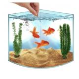 Skywin Betta Fish Tank - 1.71 Gallon, Acrylic