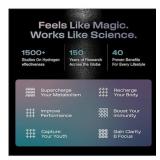 Echo Flask Hydrogen Water Bottle