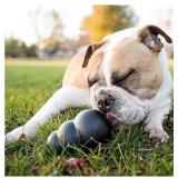 KONG Extreme Dog Toy - Fetch & Chew Toy - Treat-Fi