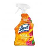 Lysol Day Mango & Hibiscus Liquid All Purpose Clea