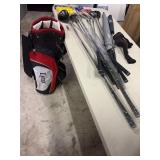 Lynx Golf bag, clubs, and many accessories! Everyt