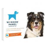 Wisdom Panel Breed Identification DNA Test Kit