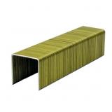 FREEMAN 1-in Leg x 1-in 16-Gauge Construction Stap