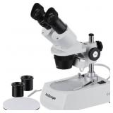 Dual Halogen Light Stereo Microscope with 20X to 8