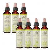 Bach Original Flower Remedies 7-Pack Live The Day