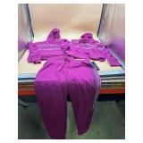 New Bebe Sport women s hoodies and pants