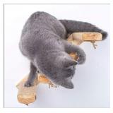 2 in 1 Air Purifier Ashtray Multifunctional Smokel