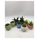 Lot Of Various Fake Plates Decor