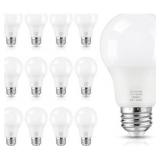 12 Pack A19 LED Light Bulbs, 60W Equivalent