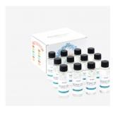 Essential Oil Pack - 100ml/bottle scent oils - 12