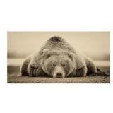 16X32  Trademark Fine Art Phburchett Deep Sleep Ca