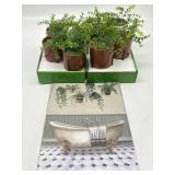 Lot of 8 Mini Faux Potted Succulents with 10 x 12