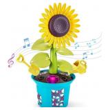 Flower Building Toy with Music, Flowers Botanical