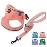Size XXS BELLA & PAL Puppy Harness and Leash Set,R