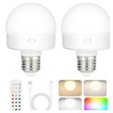 Rechargeable Battery Operated Light Bulb with Remo