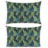 LOT OF 3 Horaldaily Summer Monstera Green Queen Si