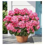 Lot of 3, Fake Geraniums Artificial Flowers for Ou