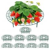 Strawberry Plant Support, 10 Pack, Raised Grid Sta