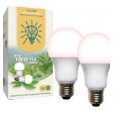 Miracle LED SIPPA Sun Absolute Daylight Indoor Tea