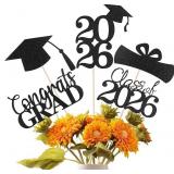 LOT OF 3 ~ Graduation Decorations 2026, 20 PCS Spa