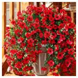 Suncalla 4 Pack Artificial Trailing Hanging Flower