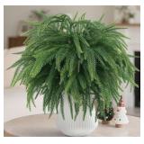 TOWPONICS 12Pcs Christmas Norfolk Pine Stems,18Inc