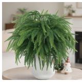 TOWPONICS 12Pcs Christmas Norfolk Pine Stems,18Inc