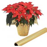 10 Yard Floral Foil Plant Pot Covers, Golden Flora