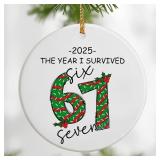67 Christmas Ornament 2025 | Funny 6 7 Meme Orname